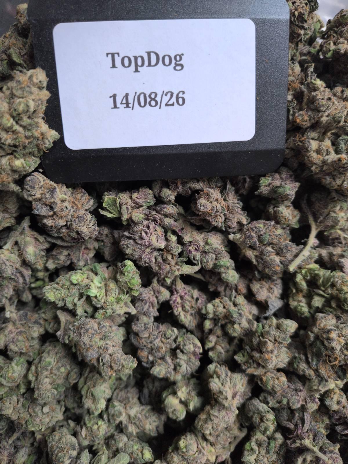 Blue Nerds (CALI)