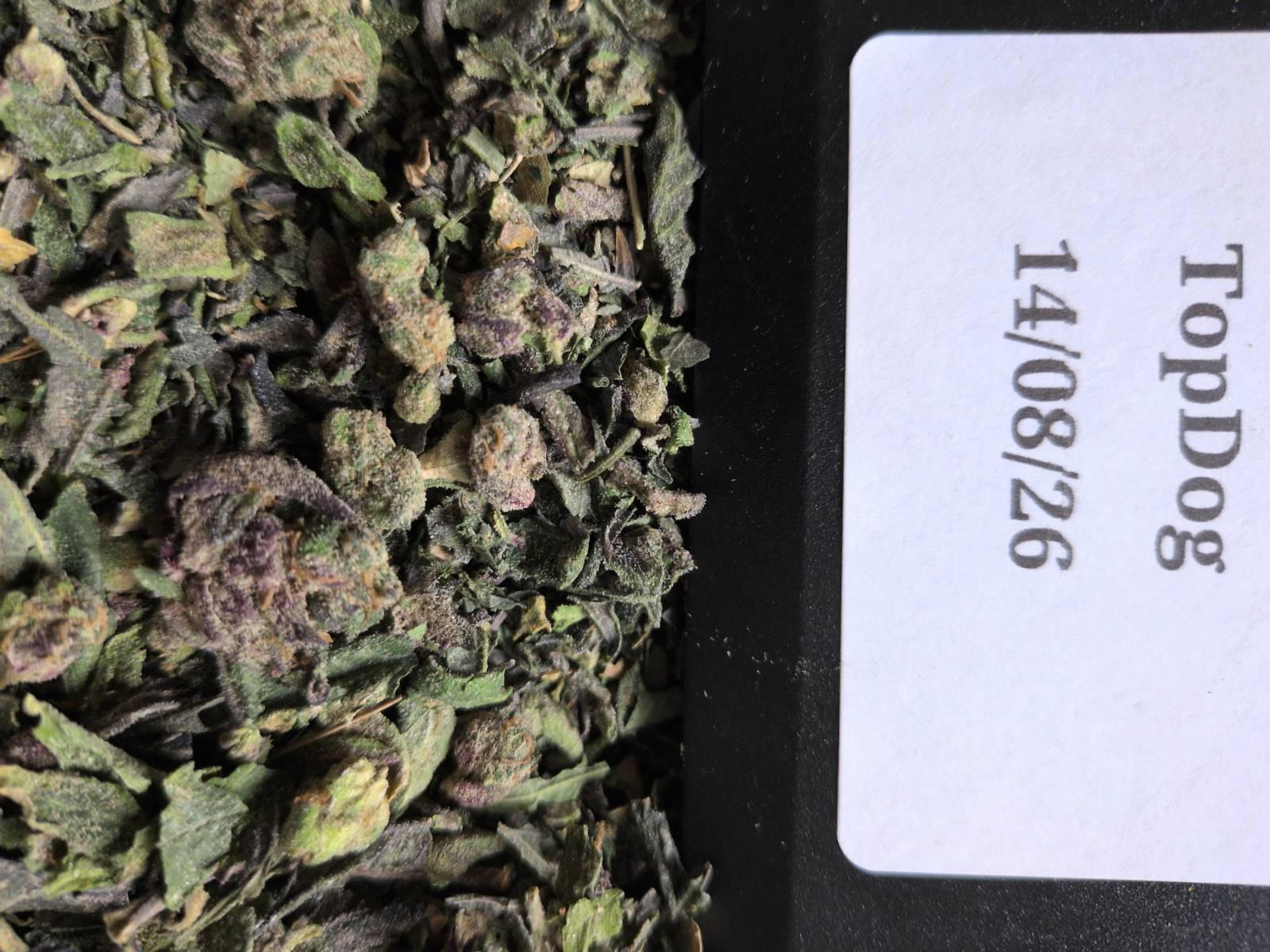 20g Blue Nerds Shake  (CALI)