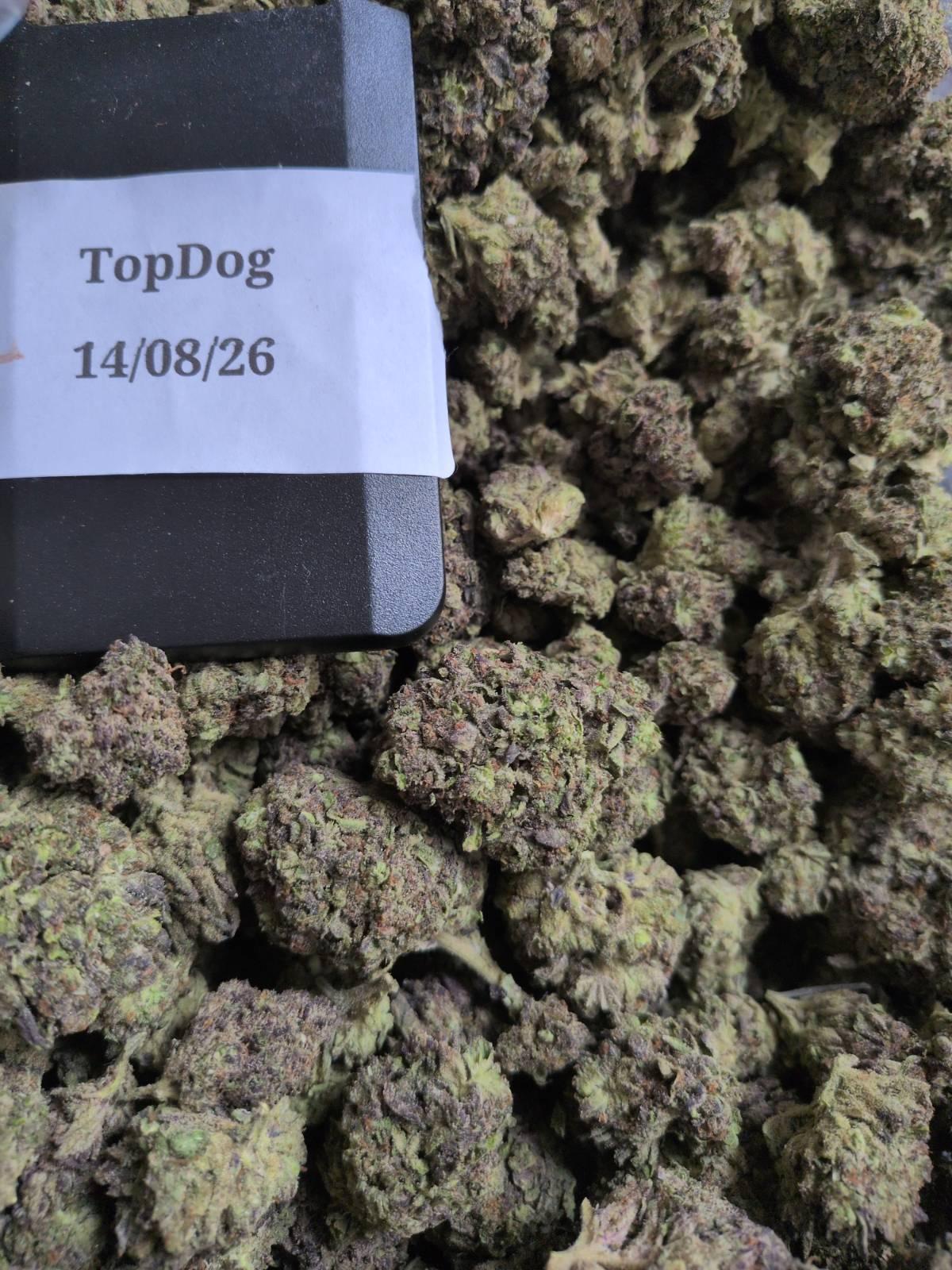 Jelly Cake (CALI)
