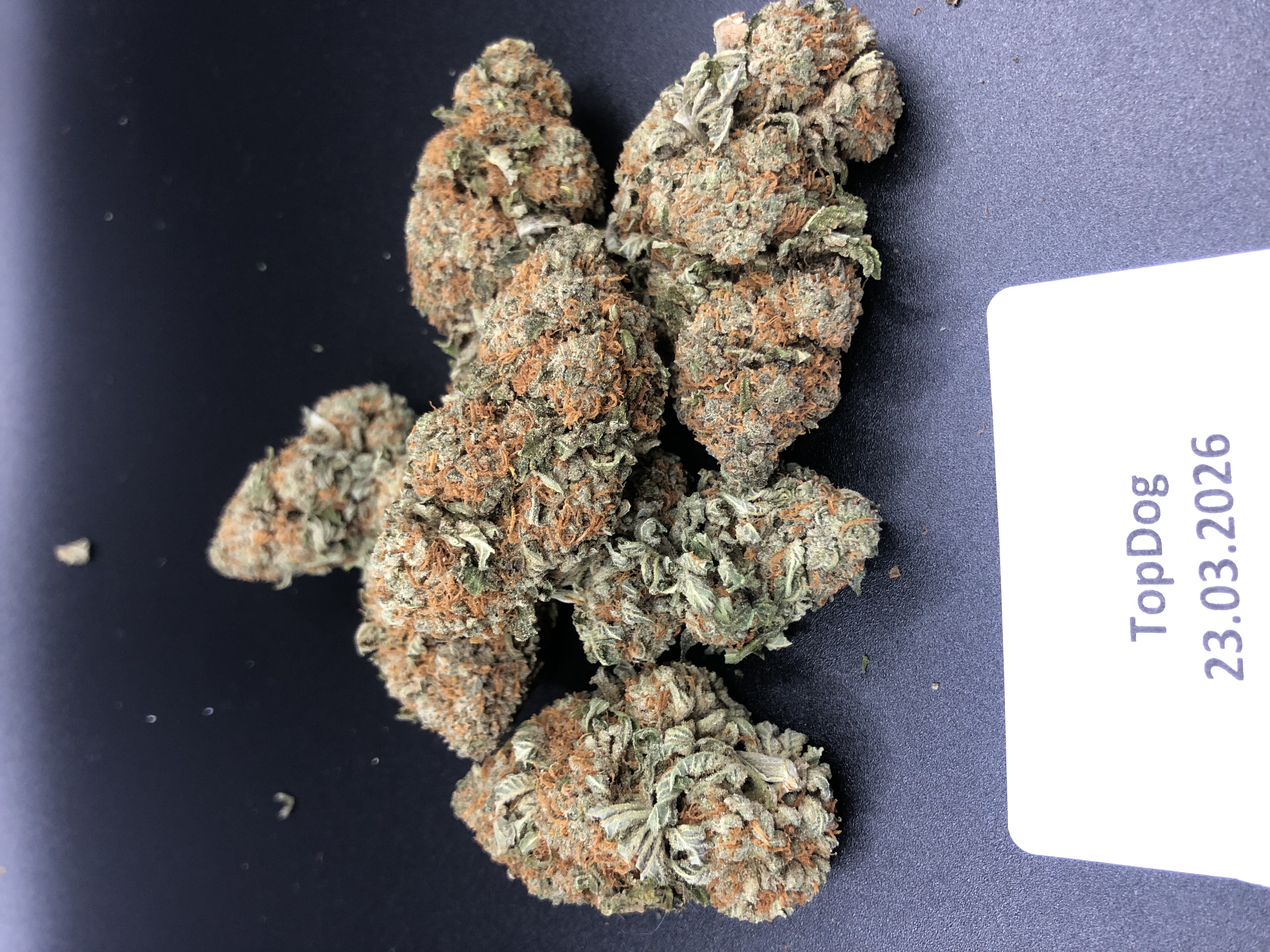 4g-56g Ice Cream [UK-UK]