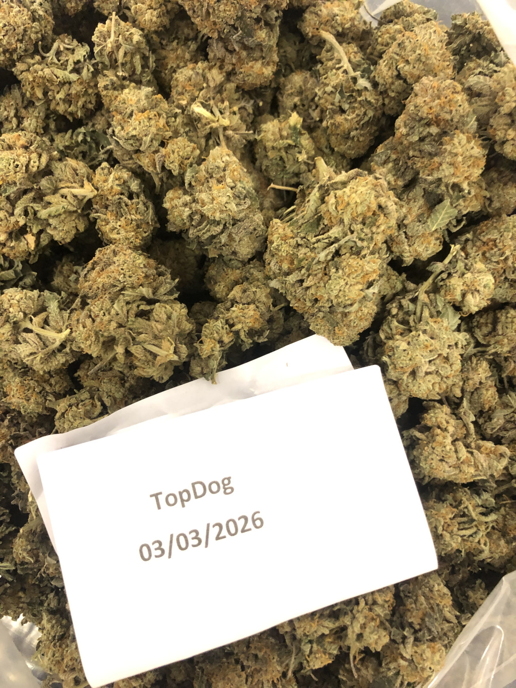 4g-56g Stardawg Hybrid [UK-UK]