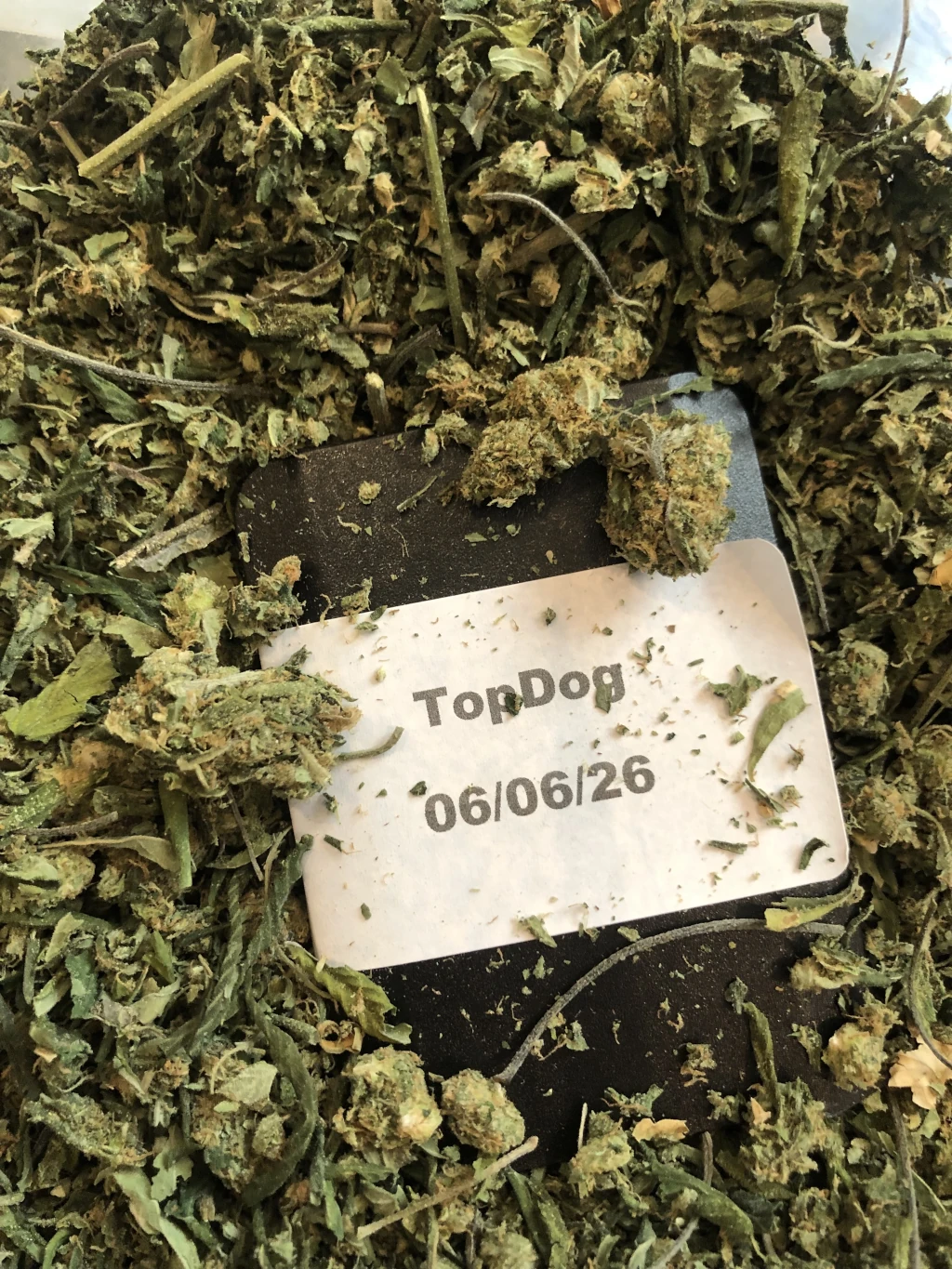 20g Tiizer Shake (UK-UK)
