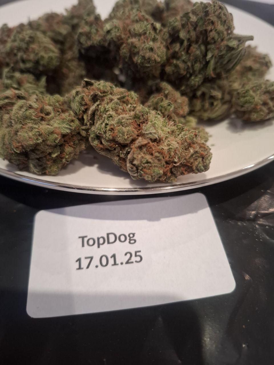 4g-56g Amnesia Haze [UK-UK]
