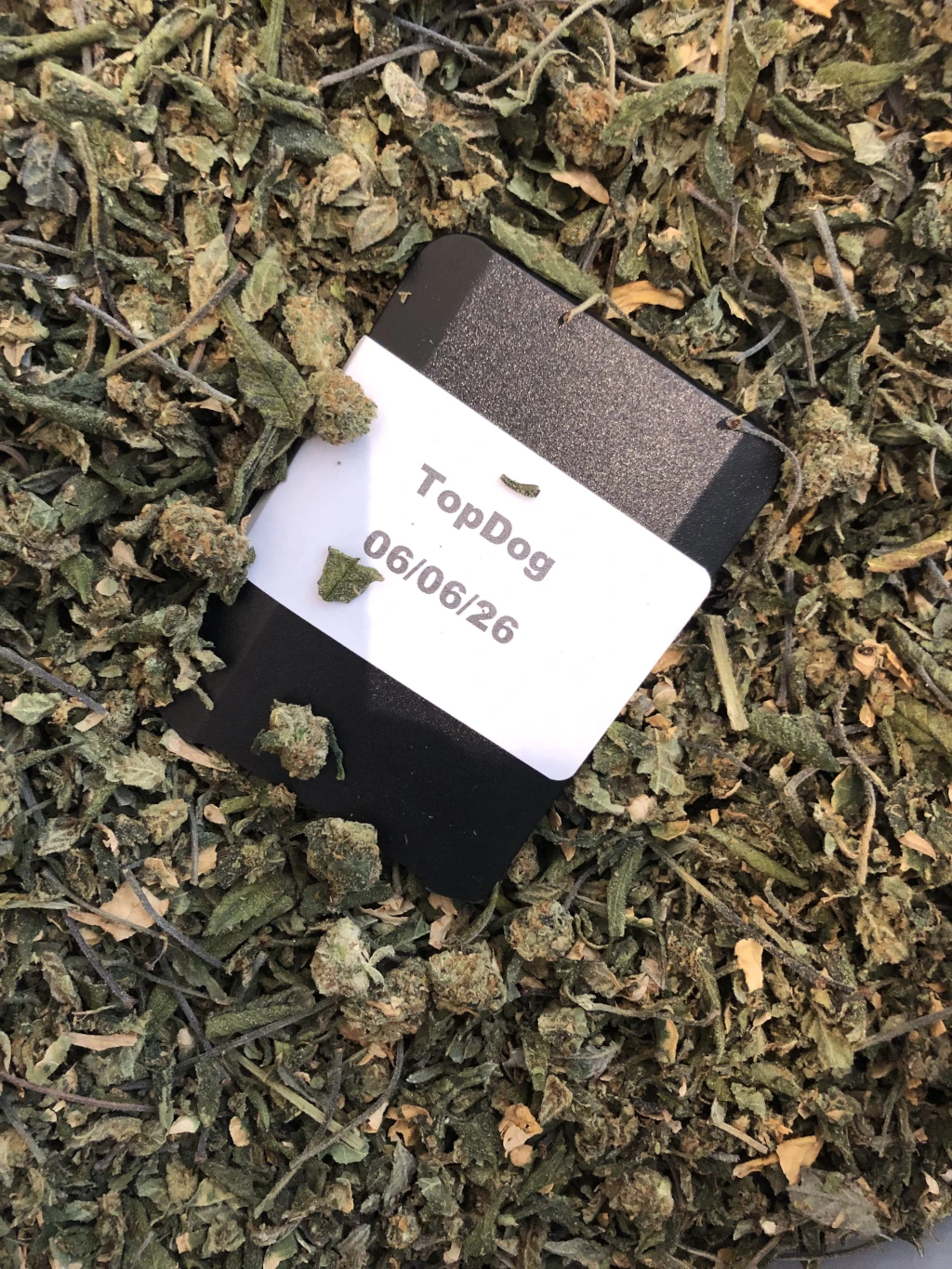 20g Dos-Si-Dos (UK-UK)