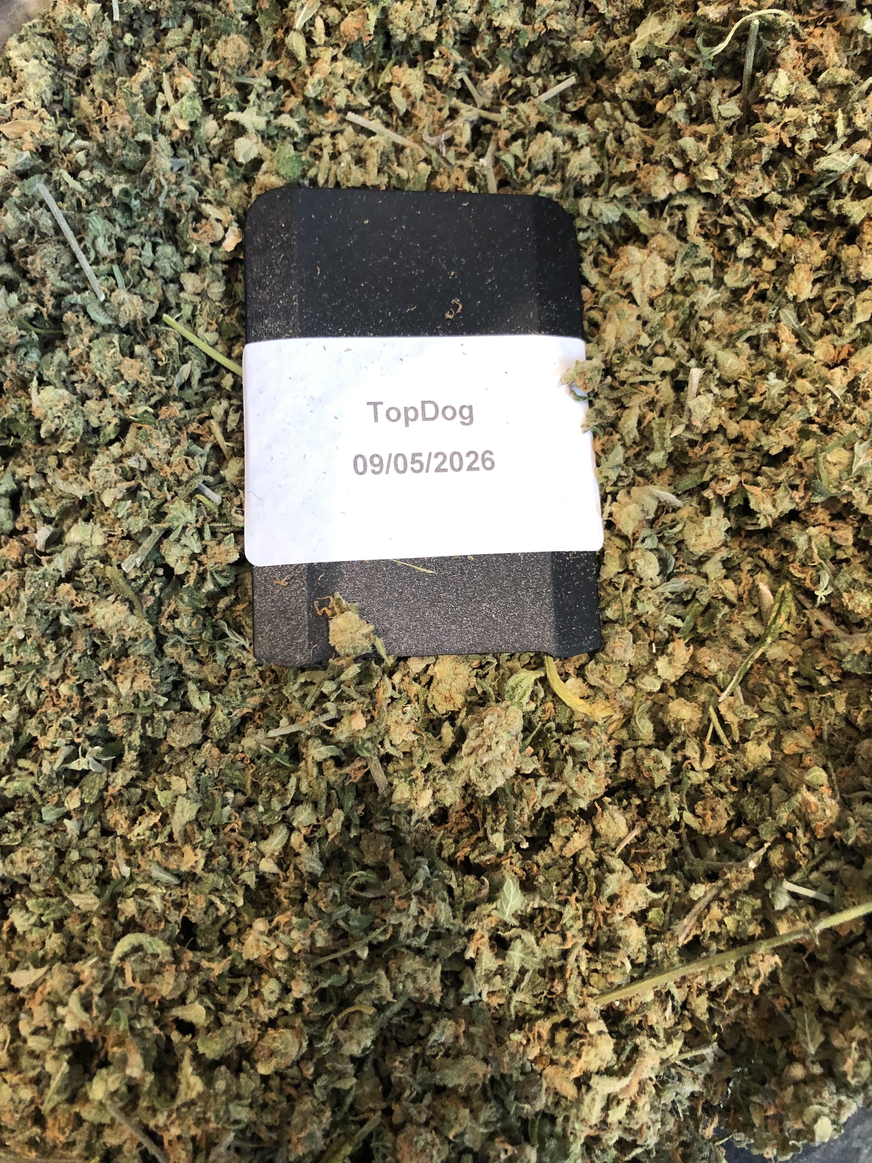20g SUPER Silver Haze (SSH) SHAKE (UK-UK)