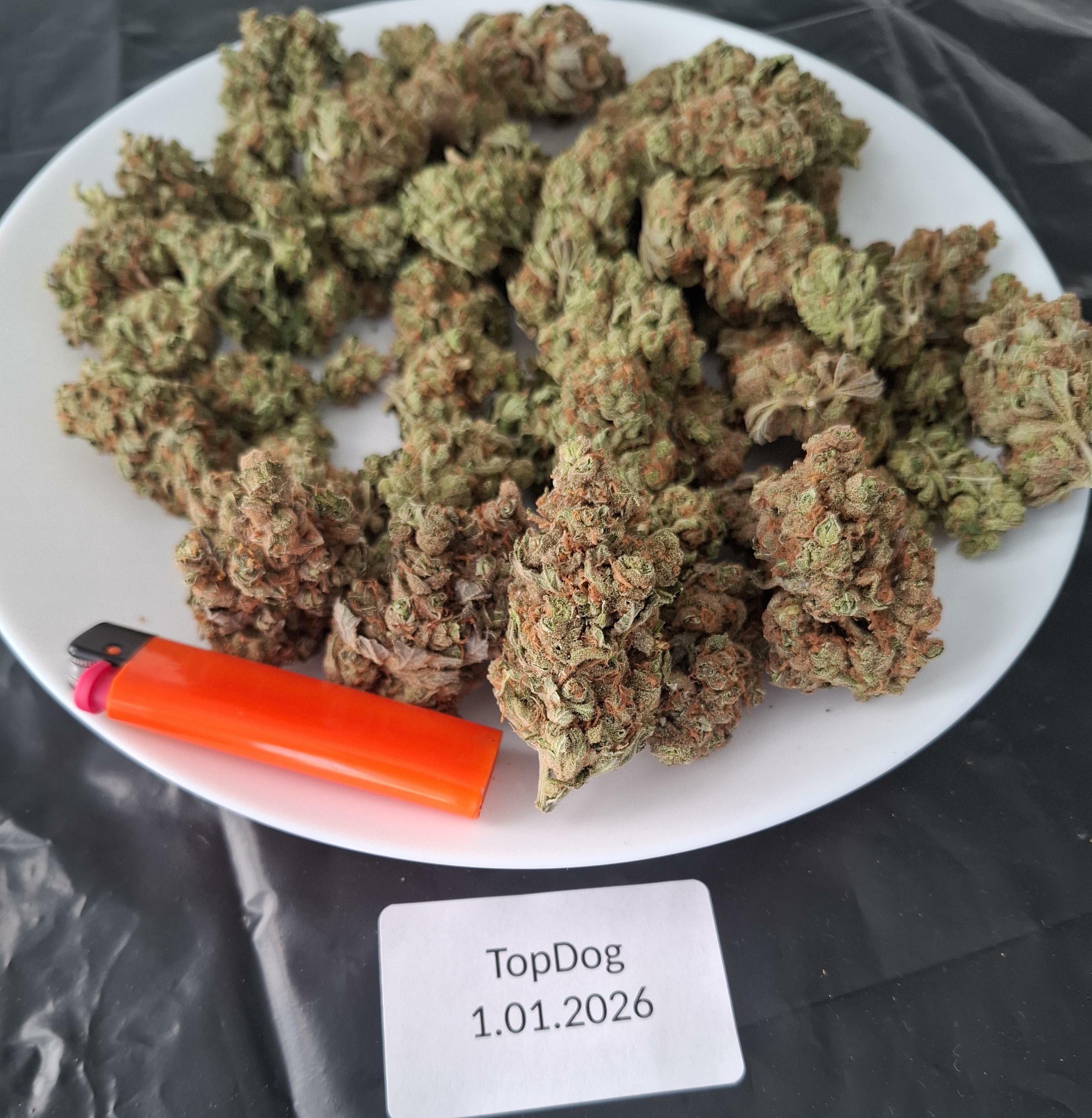 4g-56g SUPER Silver Haze [UK-UK]