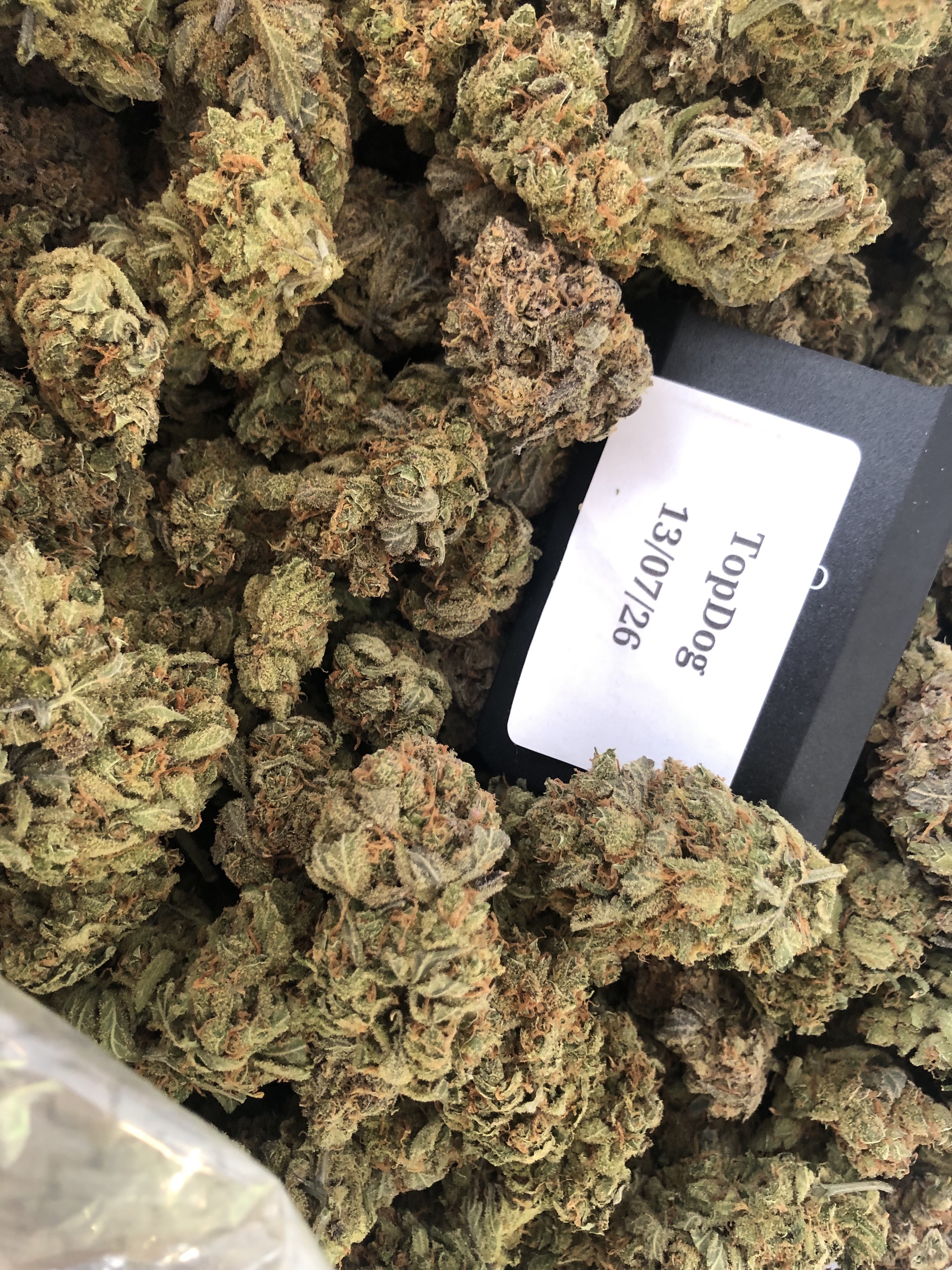 Jack Herrer (UK-UK)