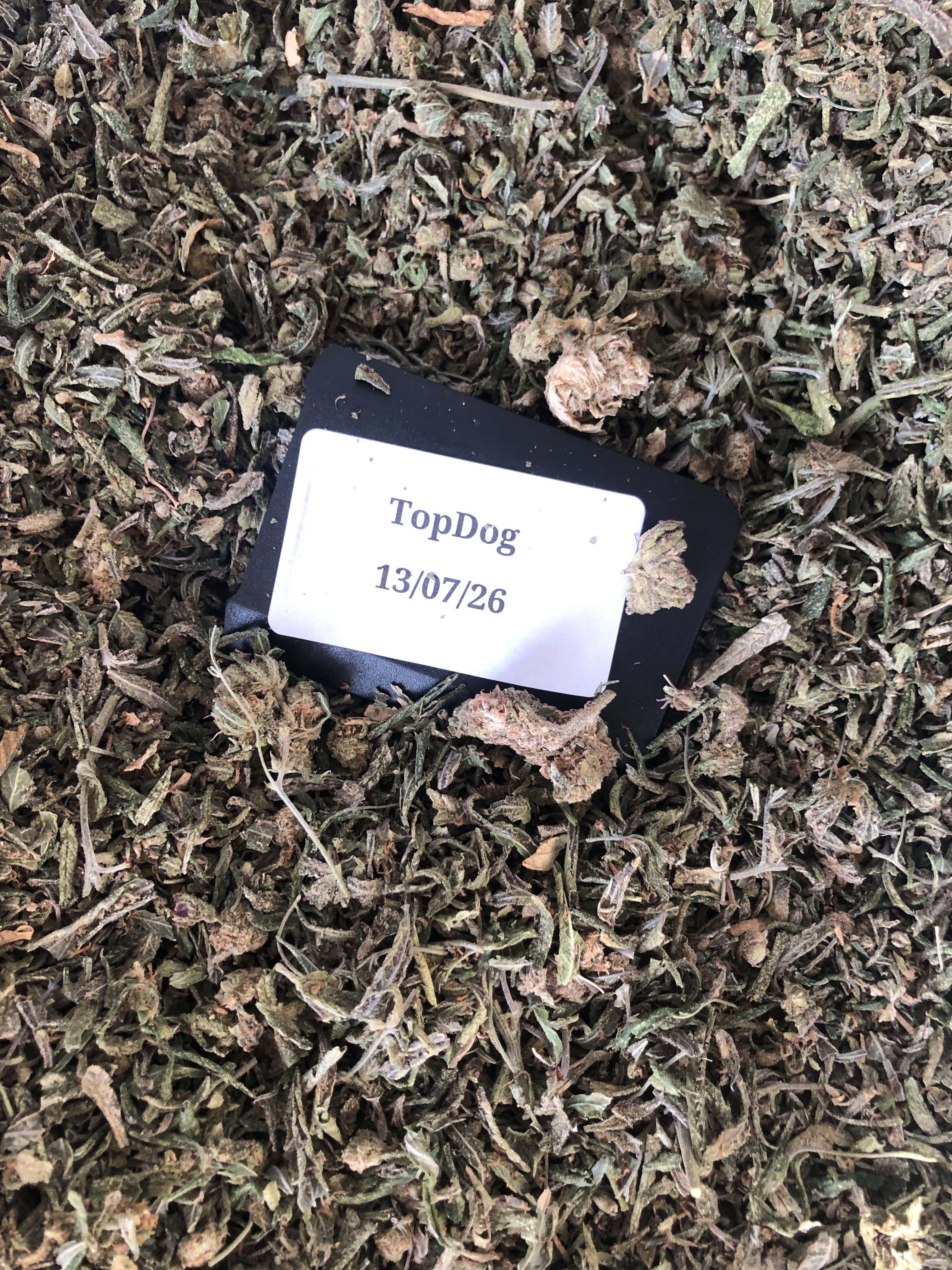 20g Purple Punch Shake (UK-UK)