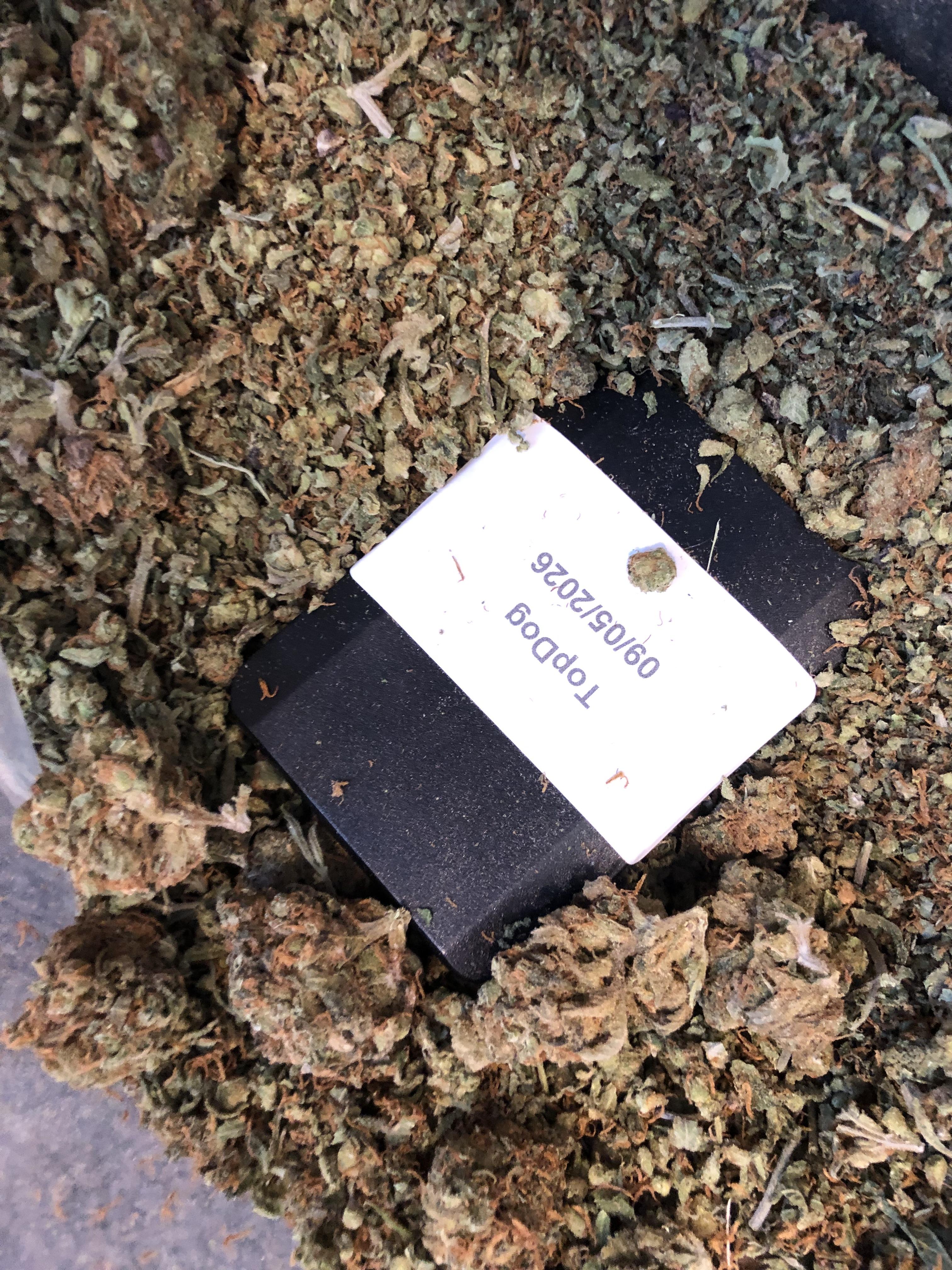 20g Amnesia Shake  (UK-UK)