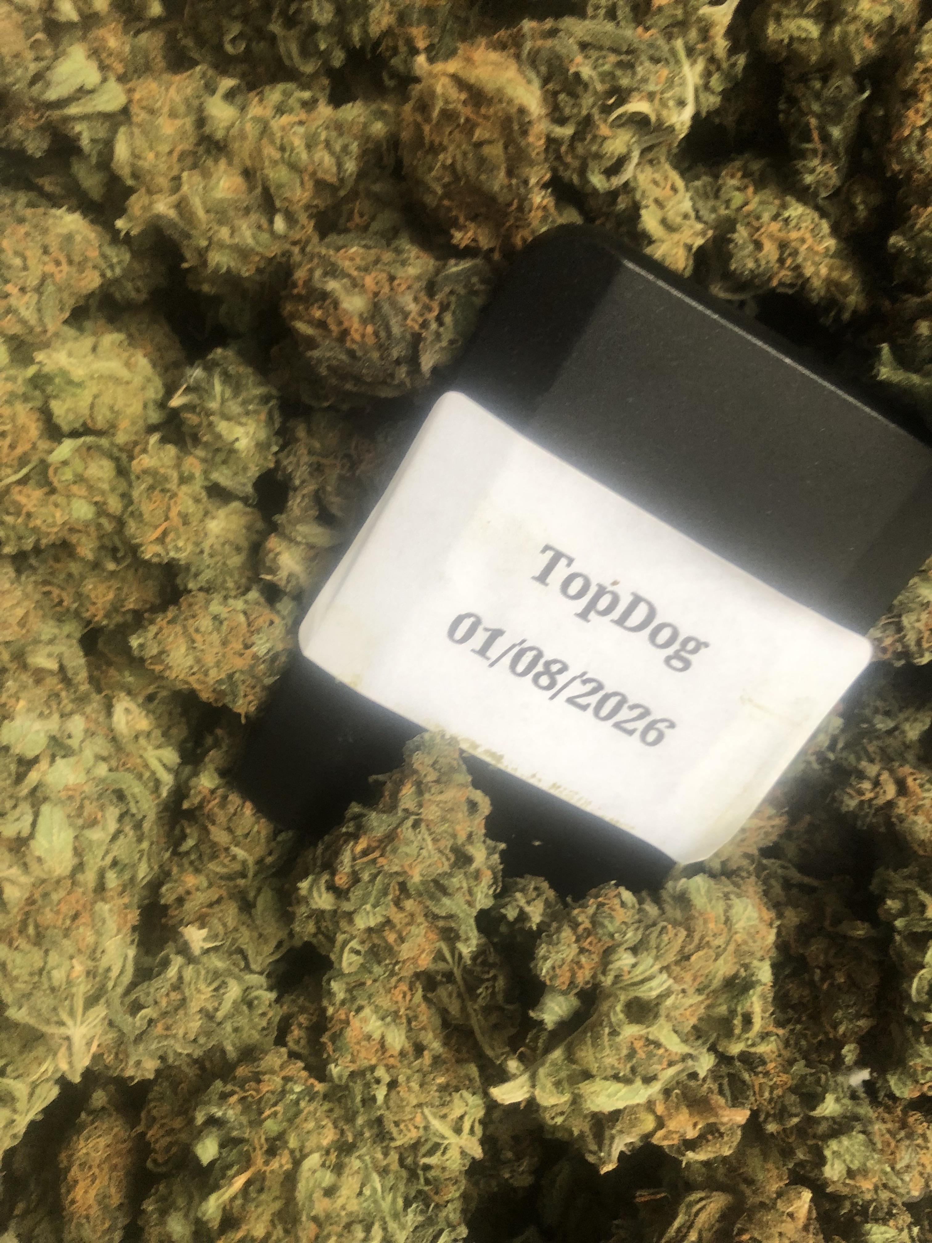 Silver Haze Budget