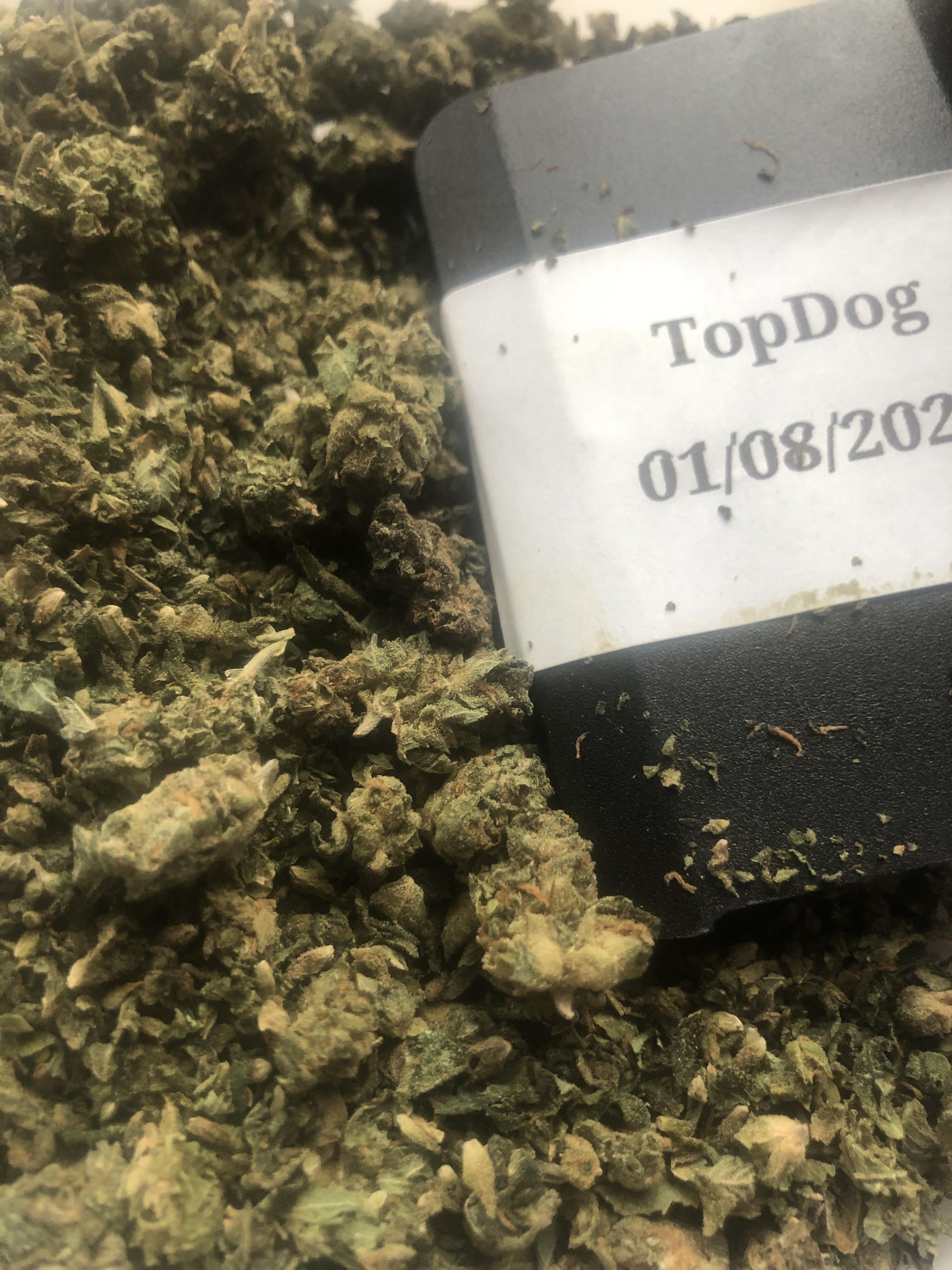 20g Blue Dream Shake  (UK-UK)